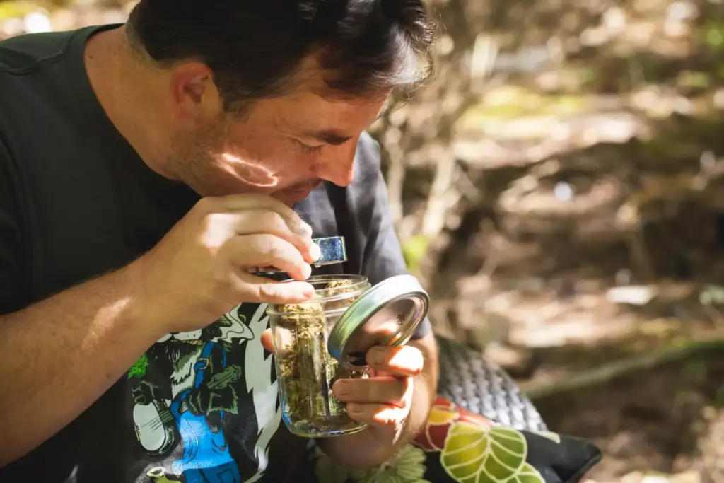 Elevate The Experience Mastering Cannabis Effect Profiles