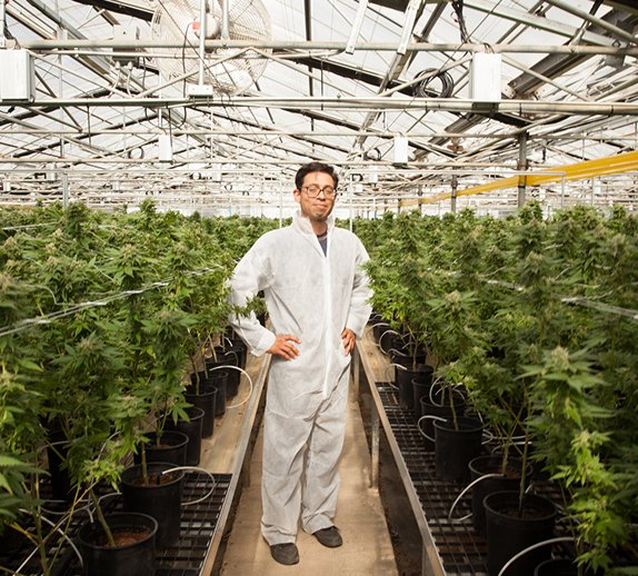 Cannabis Career Resource